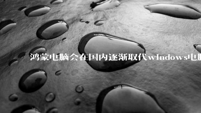 鸿蒙电脑会在国内逐渐取代windows电脑吗？
